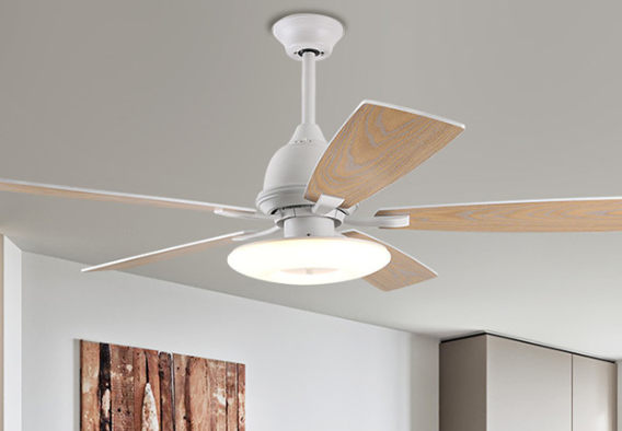 167169757842569.png ceiling fan light.png